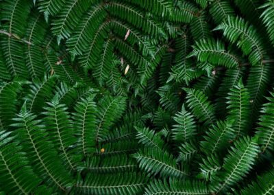 Weaving Mātauranga Māori into Science teaching in Christian schools