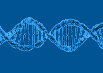 Evolutionary Innovation, Chance, and Necessity